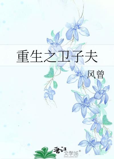 重生之卫子夫封面