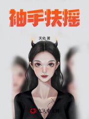 袖手扶摇封面
