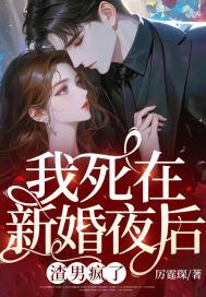 我死在新婚夜后，渣男疯了封面