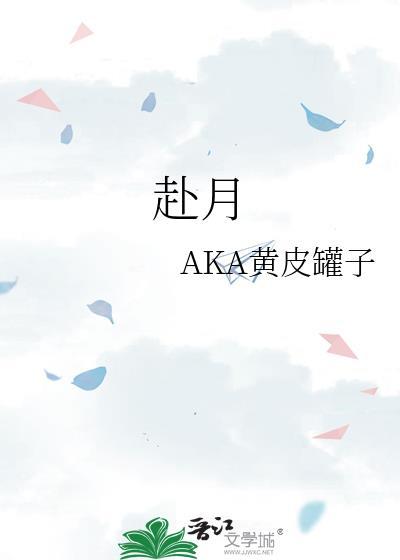 赴月封面