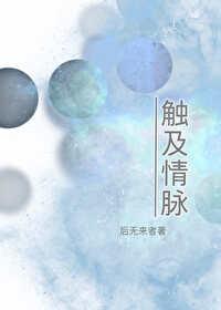 触及情脉封面