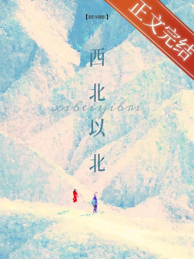 西北以北封面