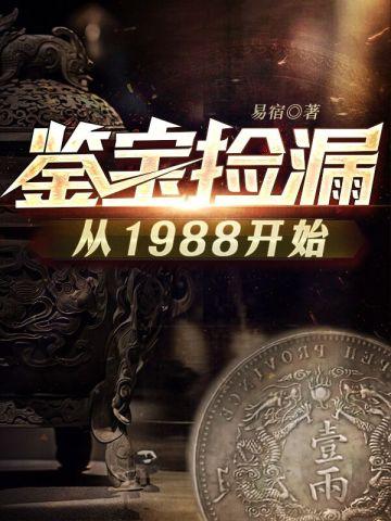 鉴宝捡漏从1988开始封面