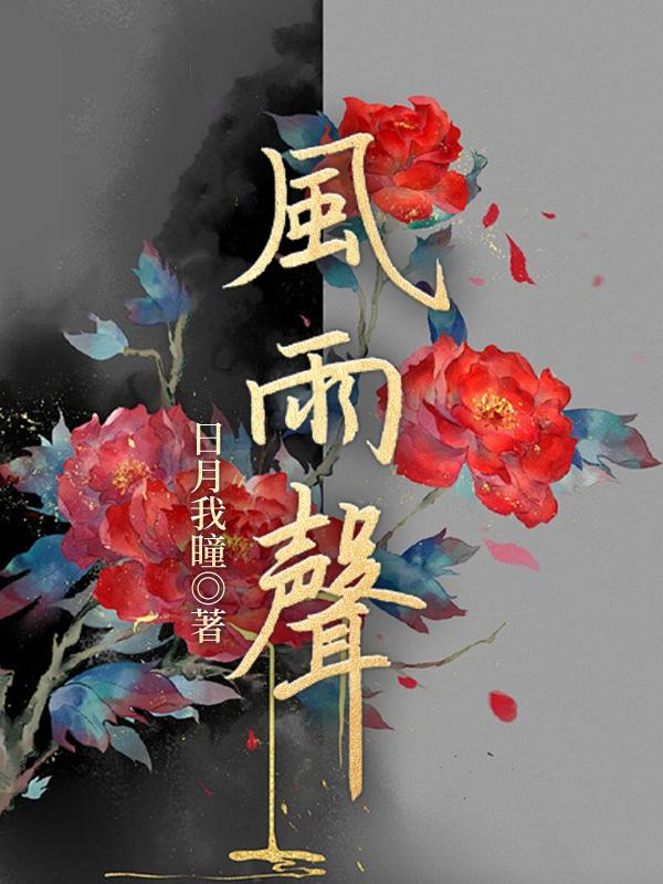 风雨声封面