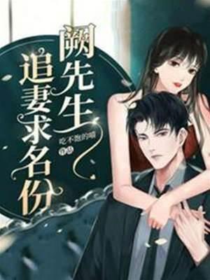 阙先生追妻求名份封面