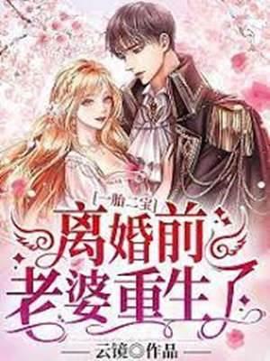 离婚前老婆重生了封面