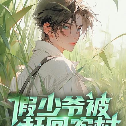 假少爷被赶回农村带妻儿逆袭人生封面