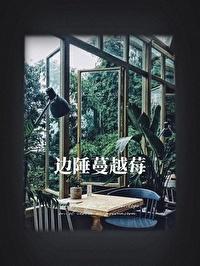 边陲蔓越莓封面