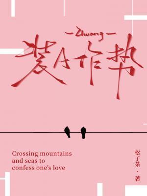 装A作势封面