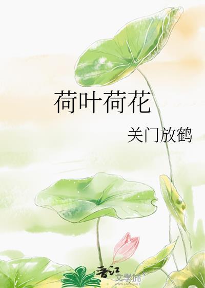 荷叶荷花封面