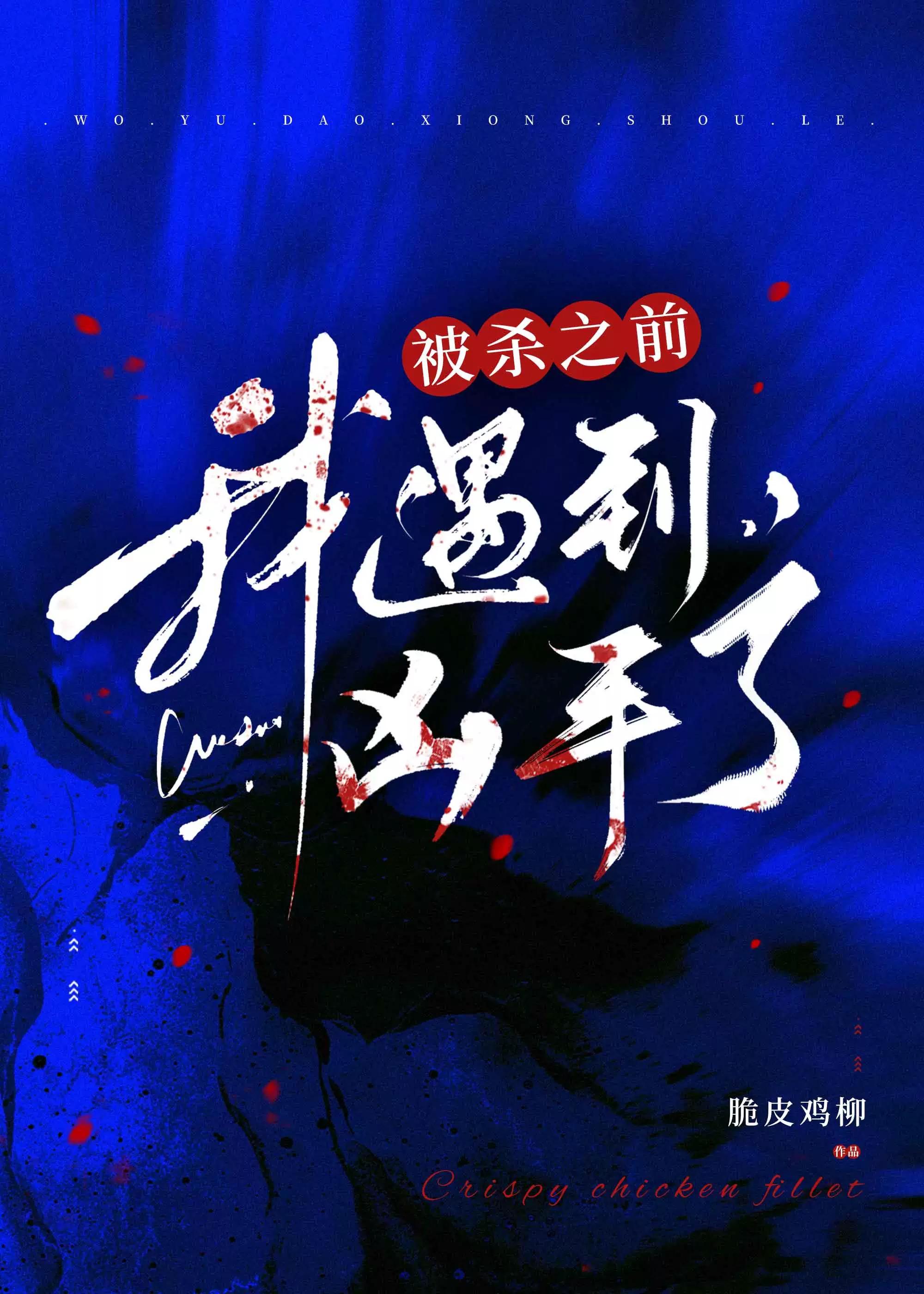被杀之前我遇到凶手了封面