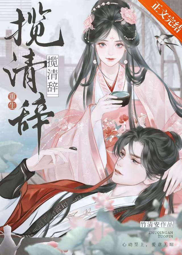 揽清辞（重生）封面