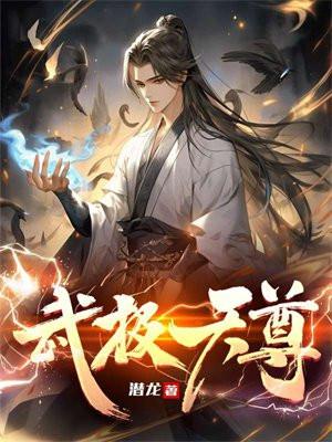 武极天尊封面