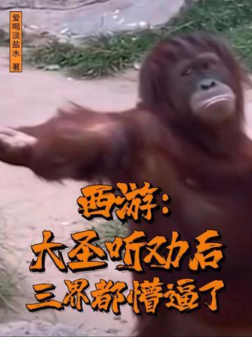 西游：大圣听劝后，三界都懵逼了封面