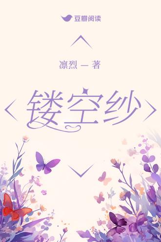 镂空纱封面
