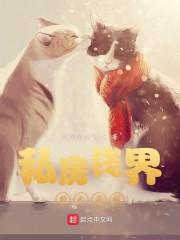 私房钱游戏封面