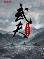 武夫陈朝谢南渡实力有多强封面
