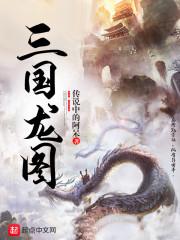 三国龙图封面