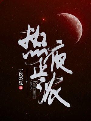热夜正浓封面