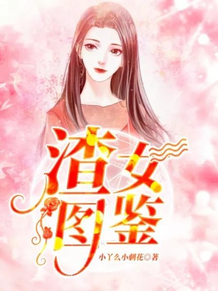 渣女图鉴封面