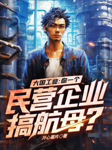 大国工业：你一个民营企业搞航母？封面