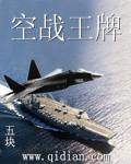 空战王牌封面