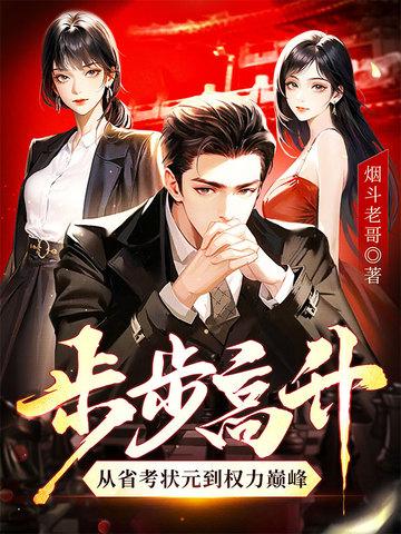 步步高升：从省考状元到权力巅峰封面