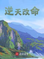 逆天改命封面