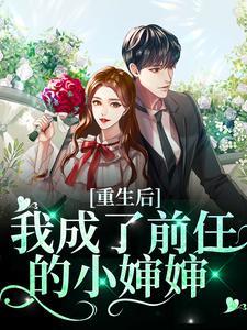 重生后我成了前任的小婶婶封面