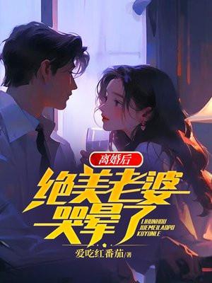 离婚后，绝美老婆哭晕了封面