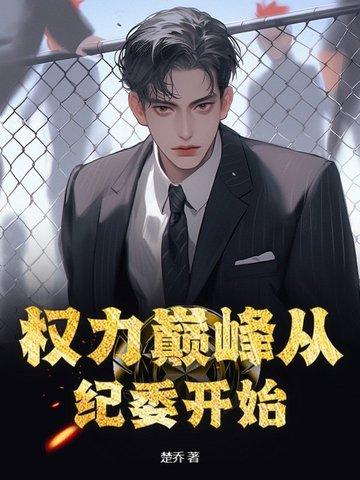 权力巅峰从纪委开始封面