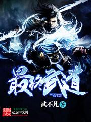 最终武道封面