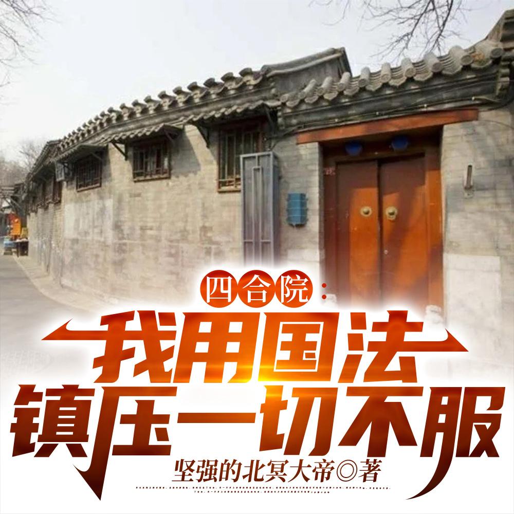 火红年代从街道办开始封面