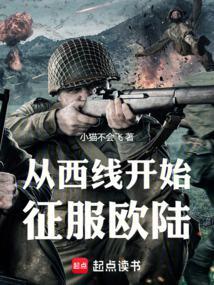 从西线开始征服欧陆封面