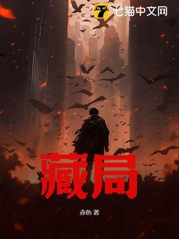 藏局封面