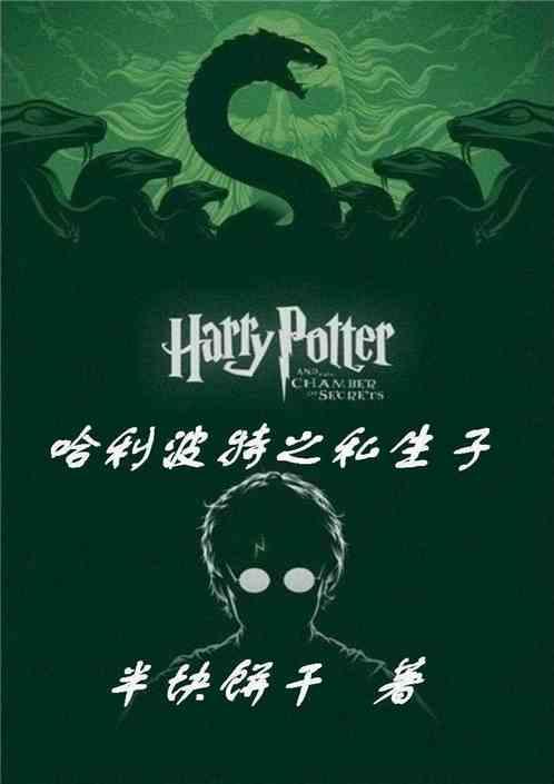 哈利波特世界的大佬封面