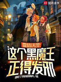 霍格沃茨的黑魔王就业指南封面