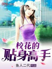 校花的贴身高手完本小说网封面