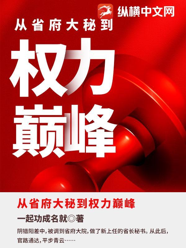从省府大秘到权力巅峰封面