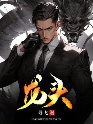 龙头封面
