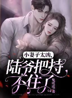 小妻子太凶，陆爷把持不住了封面