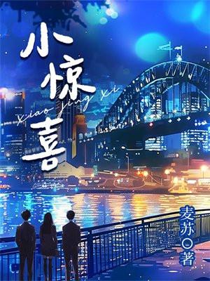 小惊喜封面