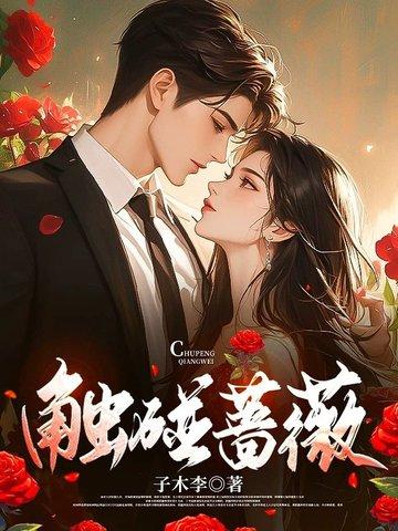 林筱帆浦应辛小说说好的假结婚浦医生请自重封面