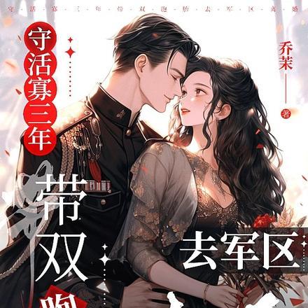 守活寡三年，带双胞胎去军区离婚封面