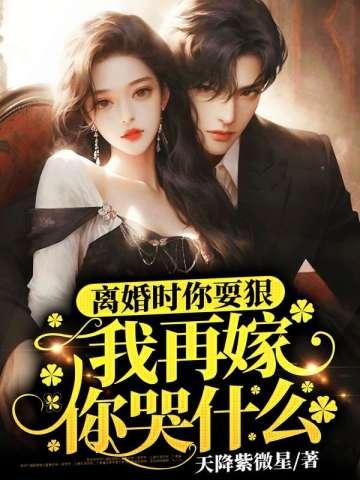 离婚时你耍狠，我再嫁你哭什么封面