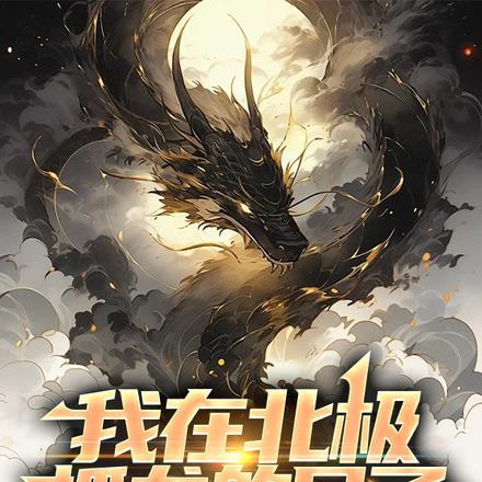 我在北极抓龙的日子封面