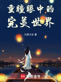 重瞳眼中的完美世界封面