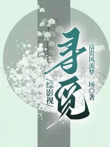 综影视寻觅封面