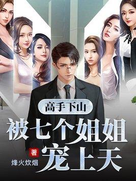 高手下山被七个姐姐宠上天封面