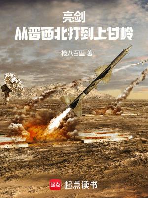 亮剑：从晋西北打到上甘岭封面